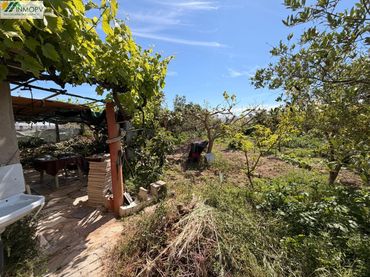 Terreno rustico in vendita a Partidas de interior - Zona Rústica