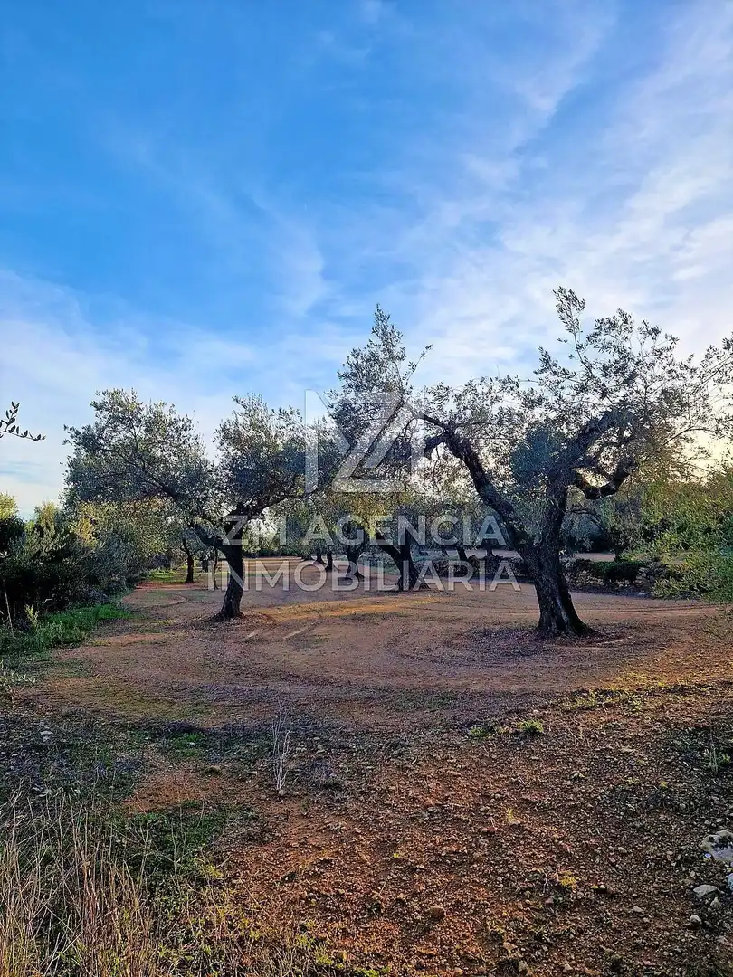 Casa rústica en venta en Ulldecona