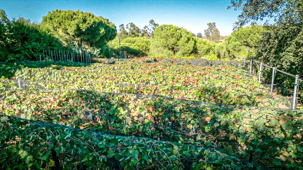 Casa rústica en venda a Cartaya, imagen 3