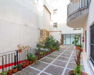 Flat to rent in Jerez de la Frontera