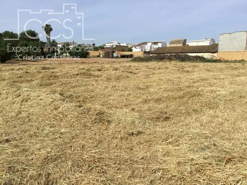 Terreni e lotti in vendita a Olivares, imagen 24
