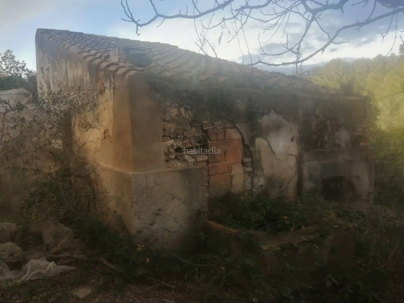 Rural land for sale in Camì del pas a Nivell 9, imagen 6