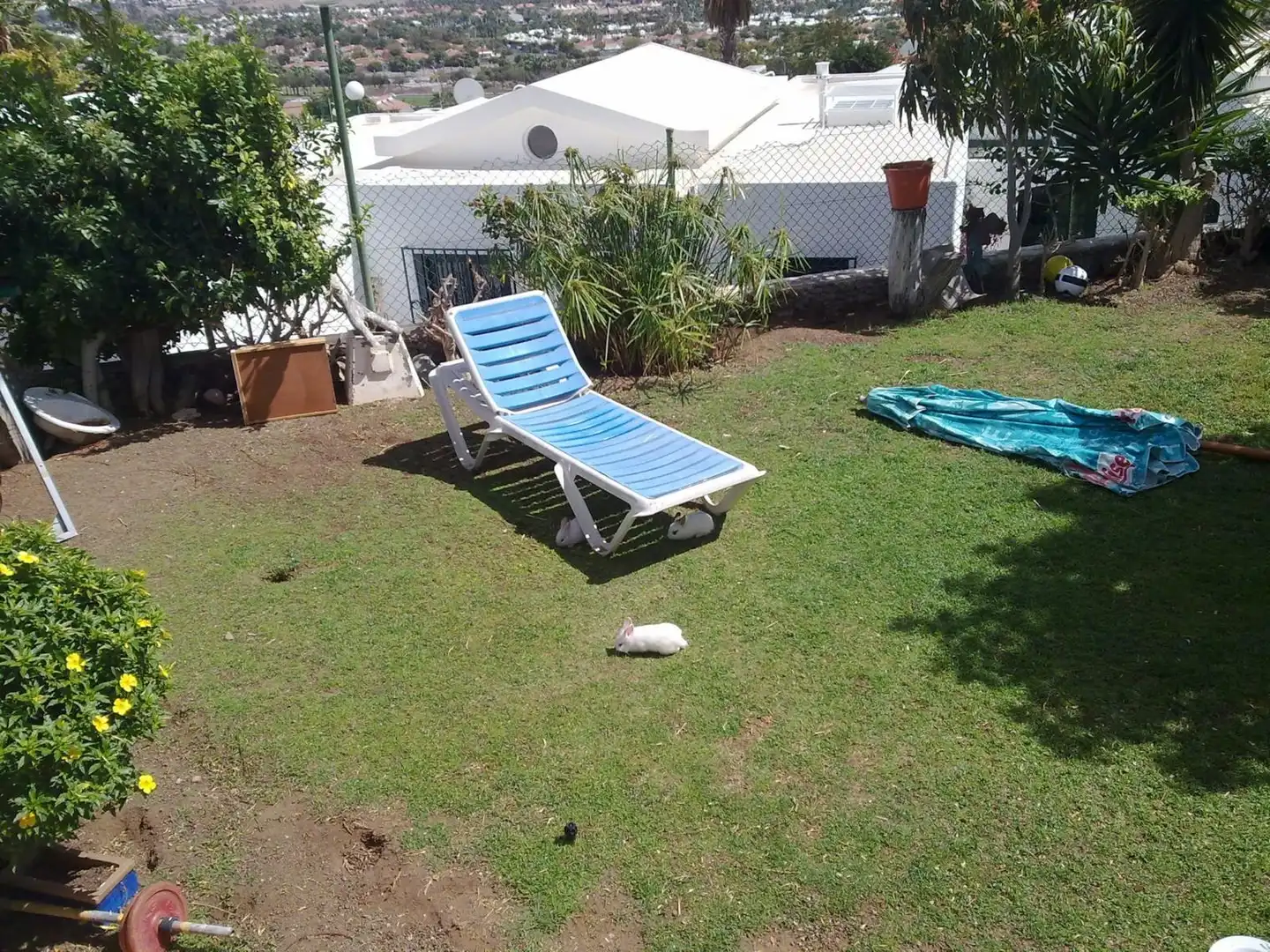 Jardí de Casa o xalet en venda en Sonnenland
