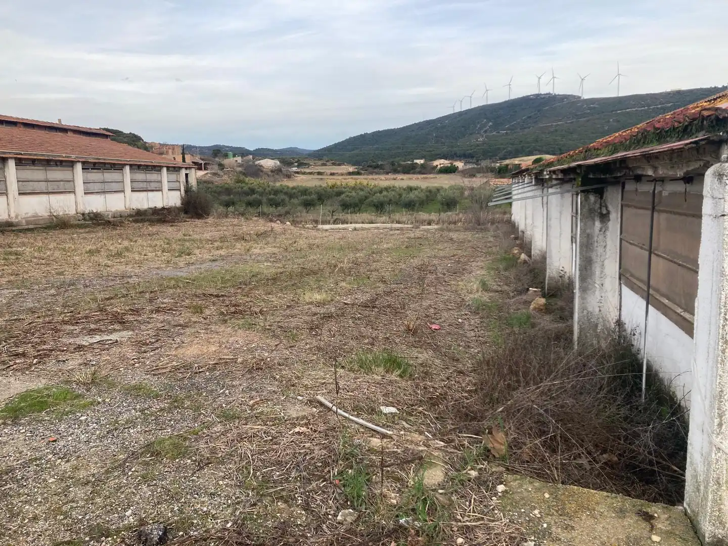 Nave industrial en venta en Cabra del Camp