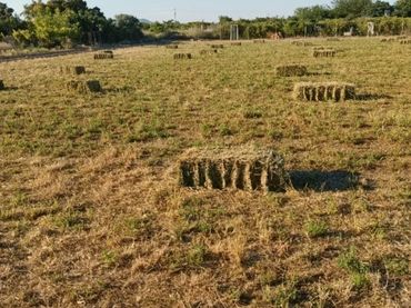Terreno rústico en venta en Pobles del Nord