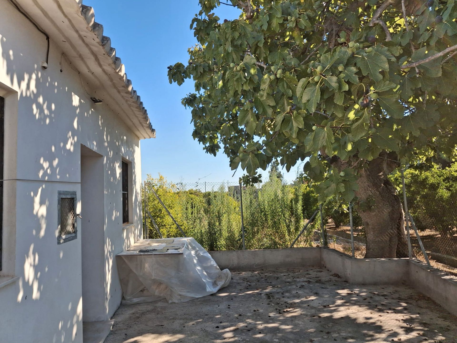 Garden of Country house for sale in Burriana / Borriana  with Terrace and Furnished