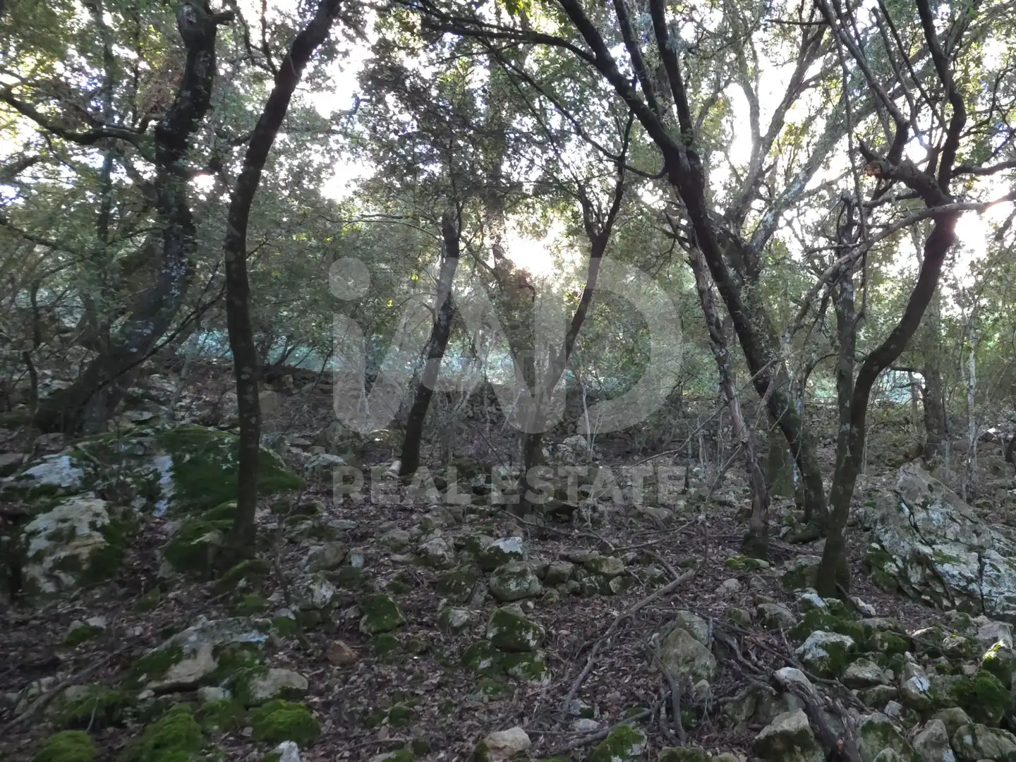 Residencial en venda en Escorca
