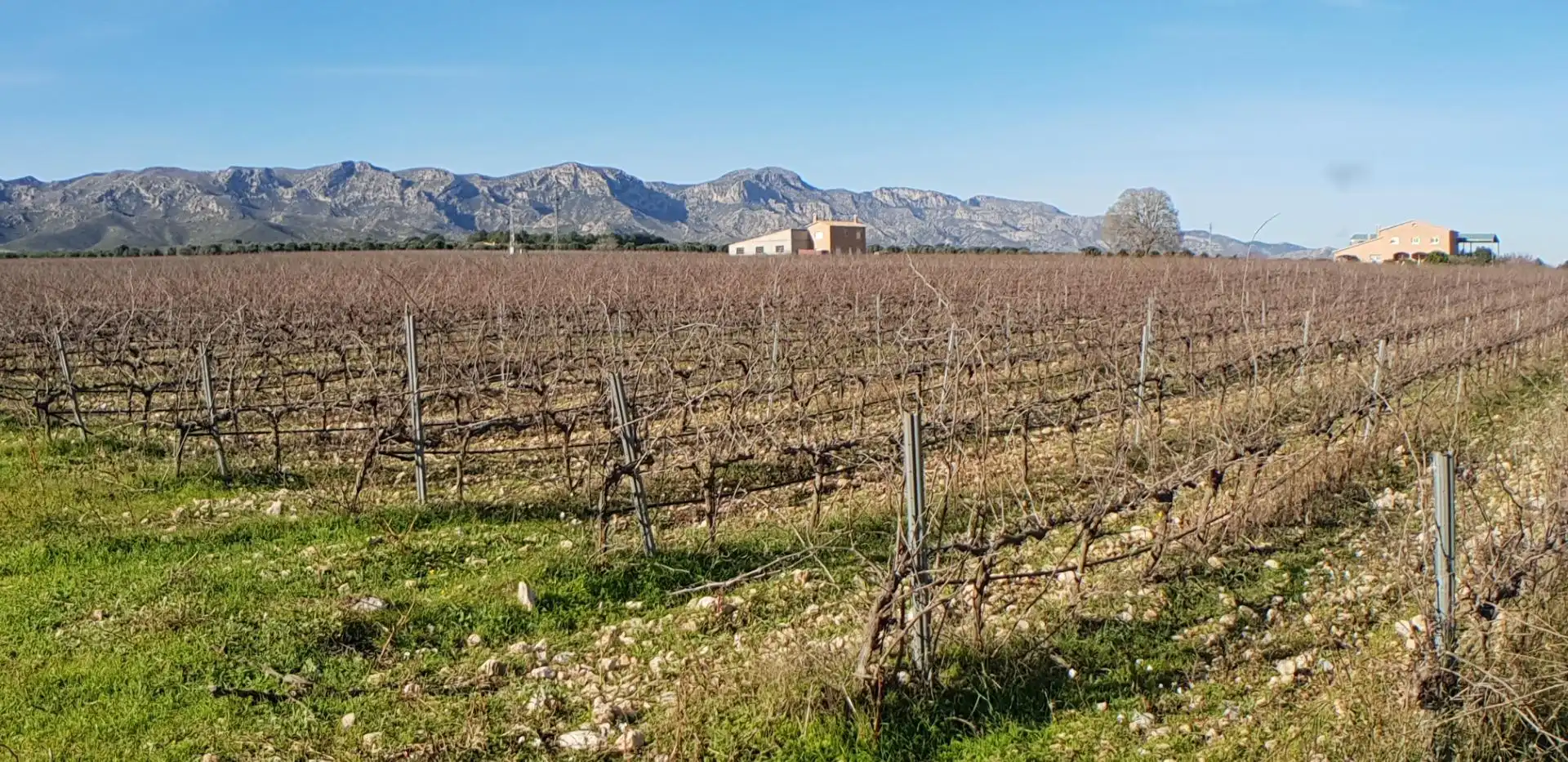 Finca rústica en venta en El Perelló con Jardín privado, Terraza y Trastero