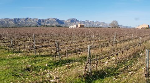 Foto 4 de Finca rústica en venta en El Perelló, Tarragona