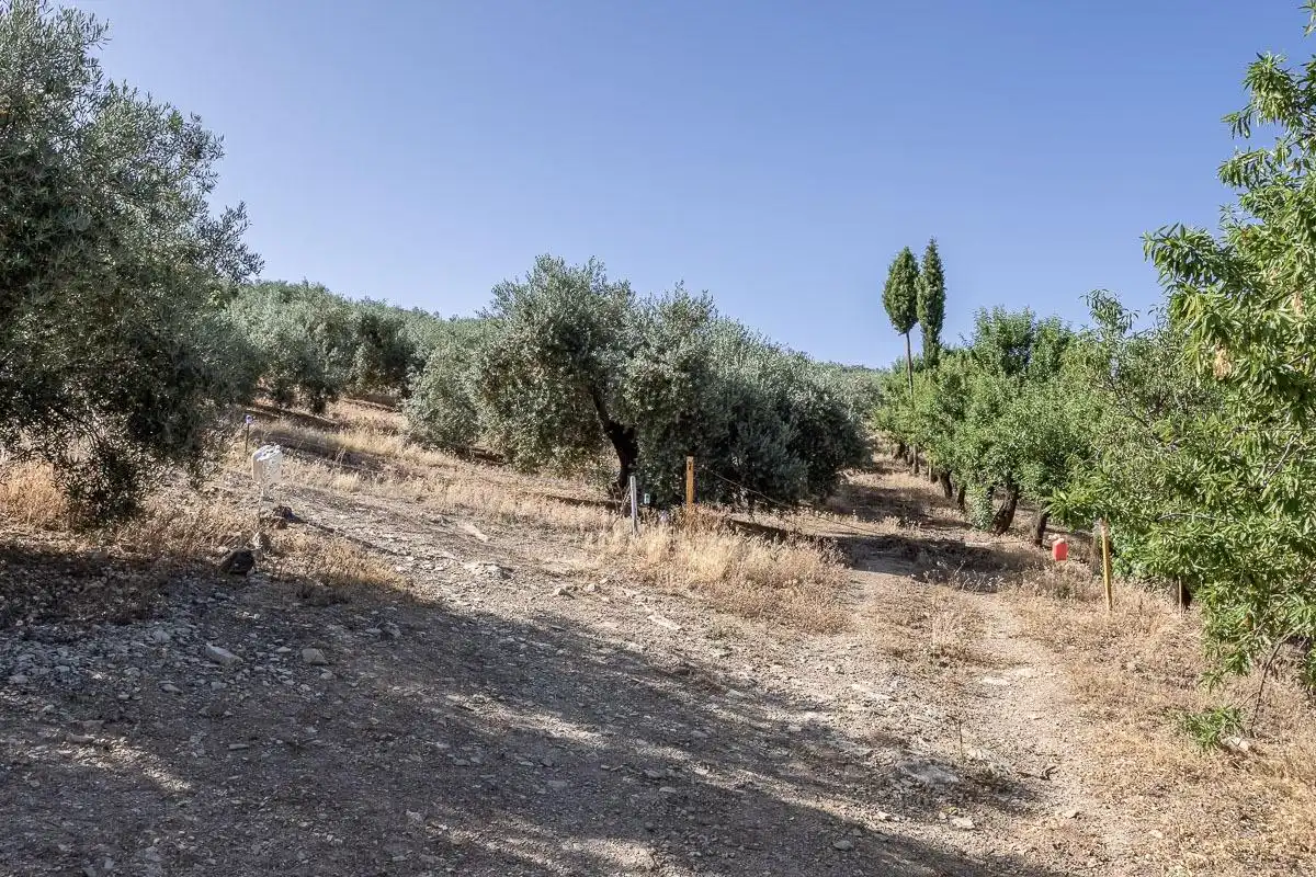 Terreno rustico in vendita a Montefrío, imagen 4