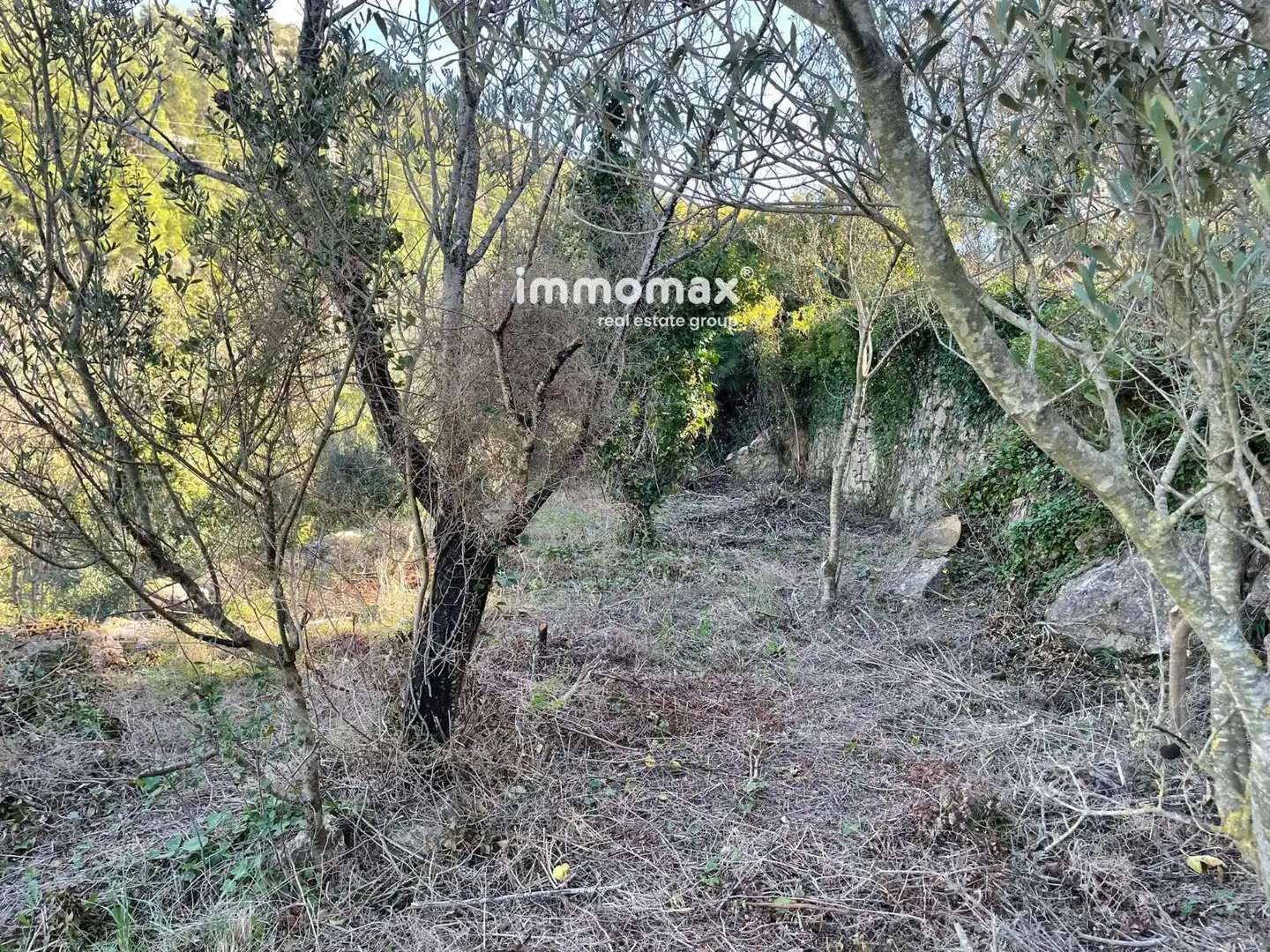 Wohnbaugrundstück zum Verkauf in valldembages, imagen 16