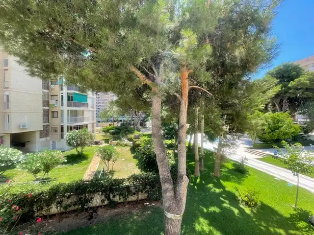 Vista exterior de Apartamento de alquiler en Alicante / Alacant con Terraza, Amueblado y Piscina comunitaria