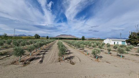Foto 3 de Finca rústica en venta en Ctra Santa Fe a el Jau, Santa Fe, Granada