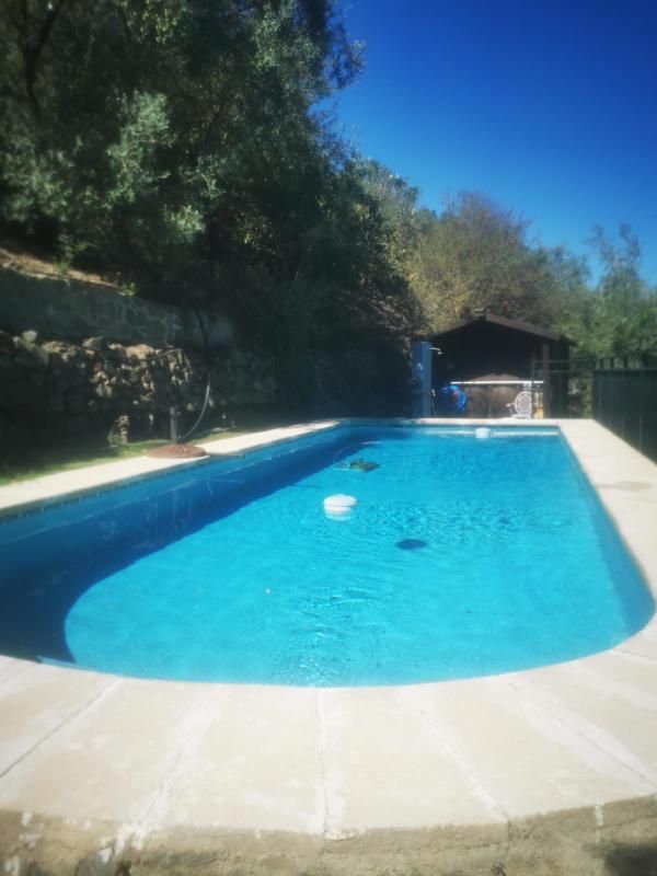 Swimming pool of House or chalet to rent in Torrox  with Private garden, Terrace and Storage room