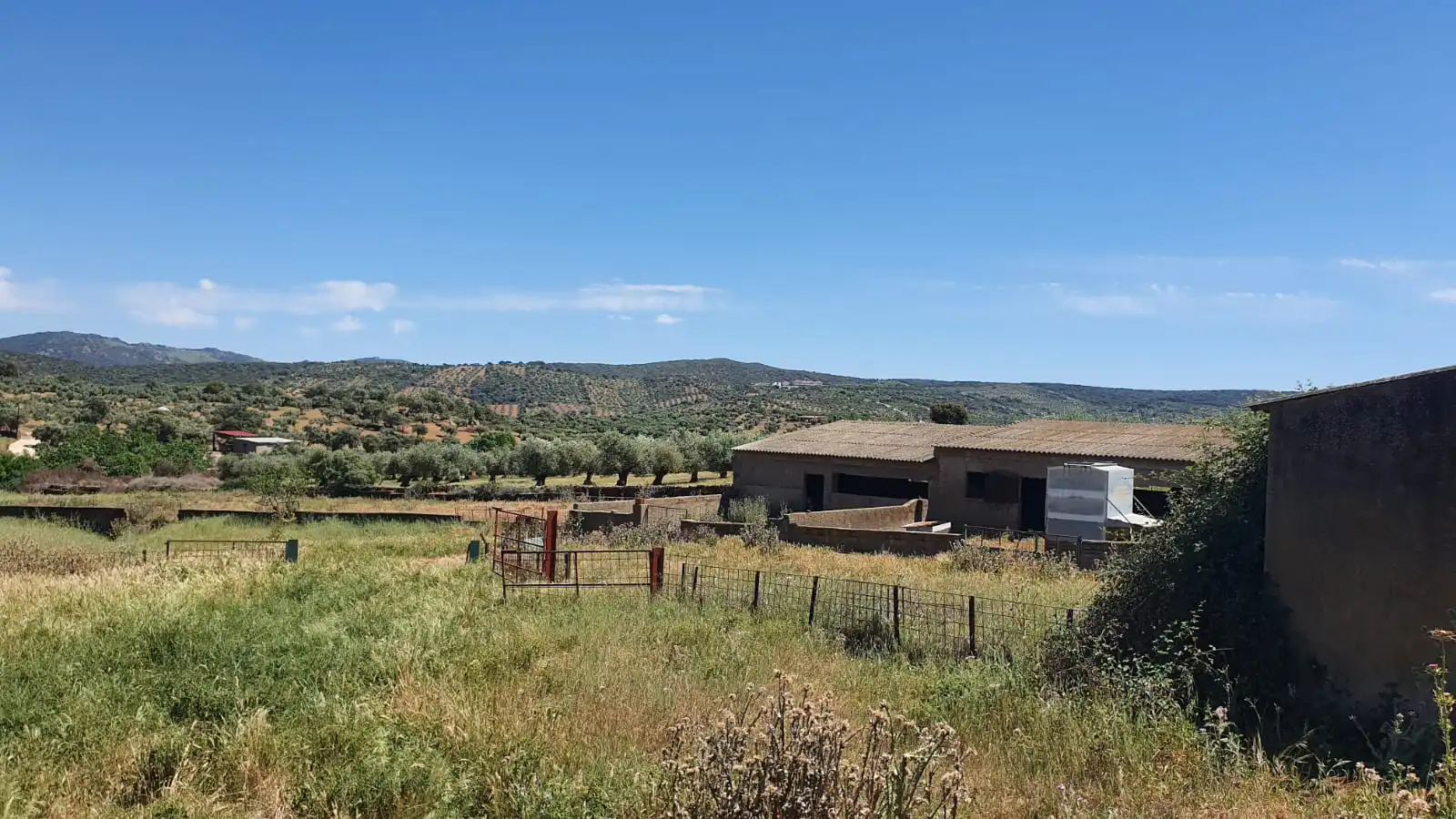 Nave industrial en venta en Salvaleón