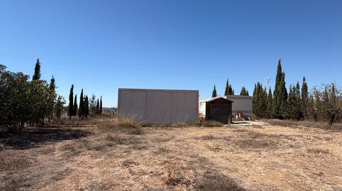 Foto 5 de Finca rústica en venda a Monóvar / Monòver, Alicante