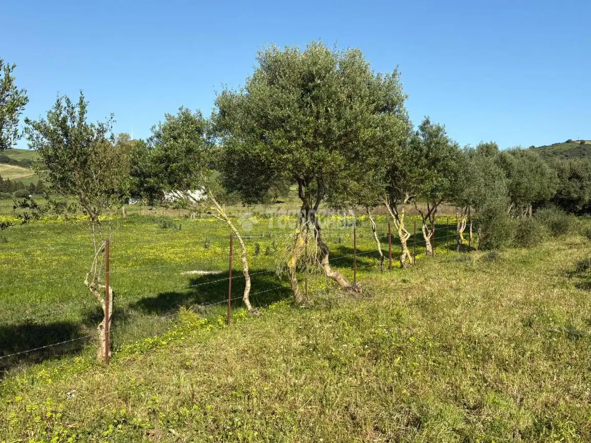 Terreno rustico in vendita a Barbate ciudad, imagen 16