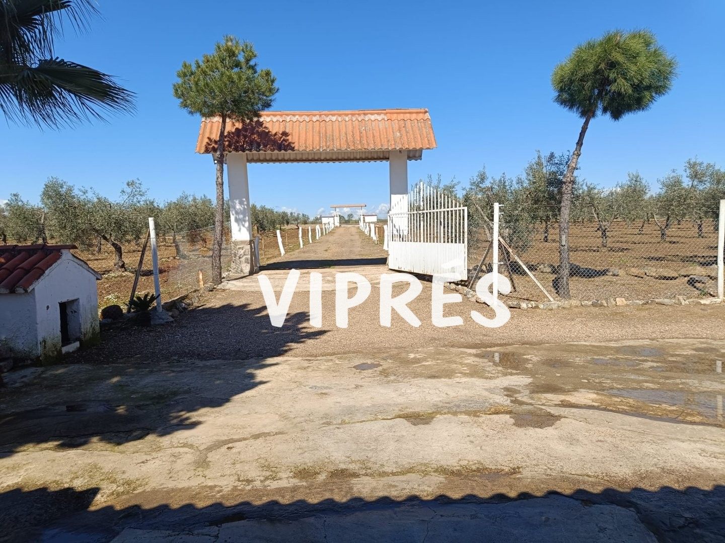 Finca rústica en venda en Mérida amb Terrassa i Piscina