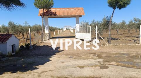 Photo 2 of Country house for sale in Este, Badajoz