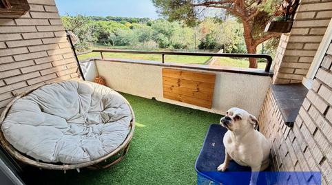 Photo 3 of Planta baja for sale in Mas Florit - Ca la Guidó, Girona