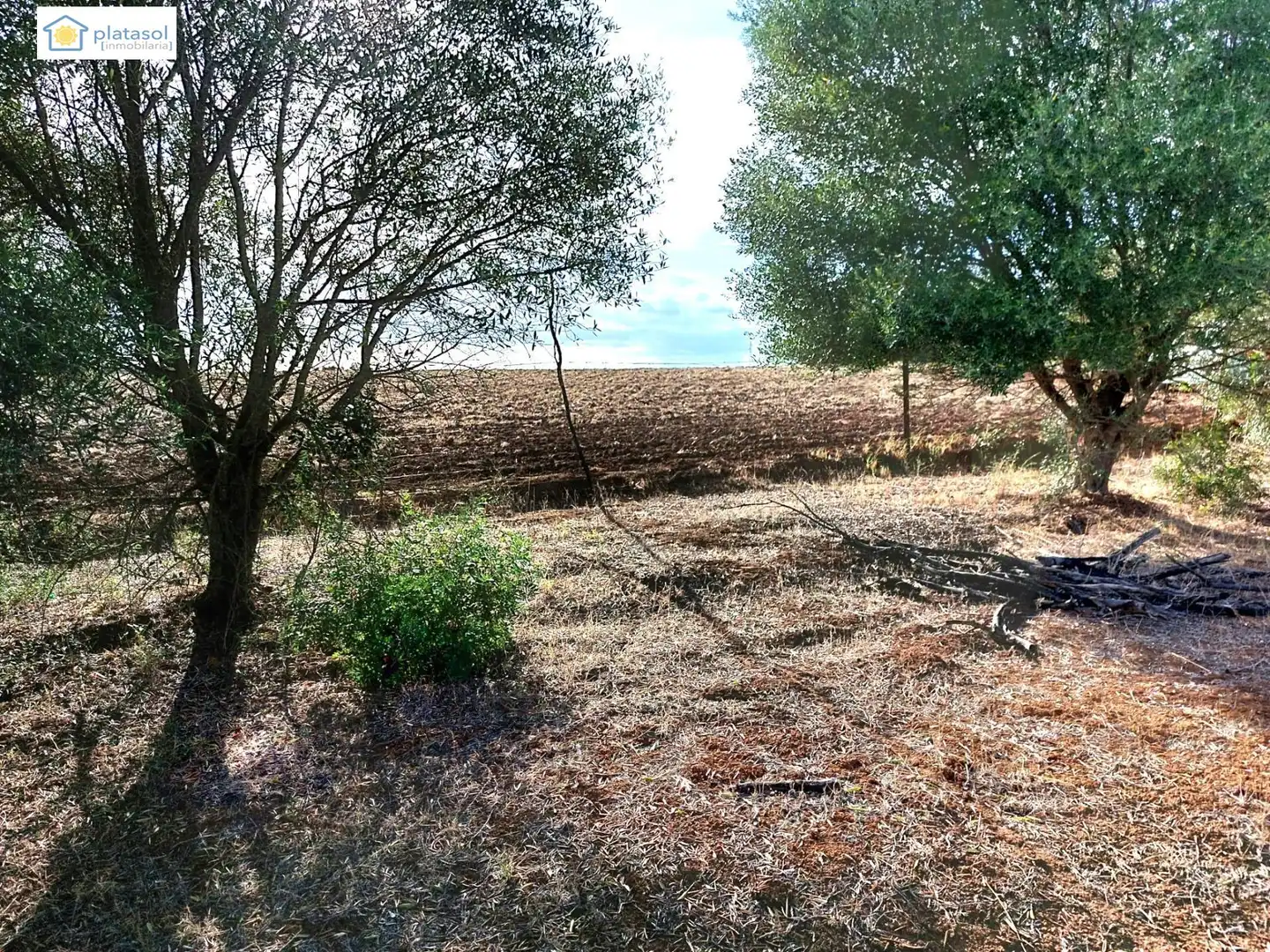 Terreni e lotti in vendita a Camino del Camino de los Arrieros, imagen 5