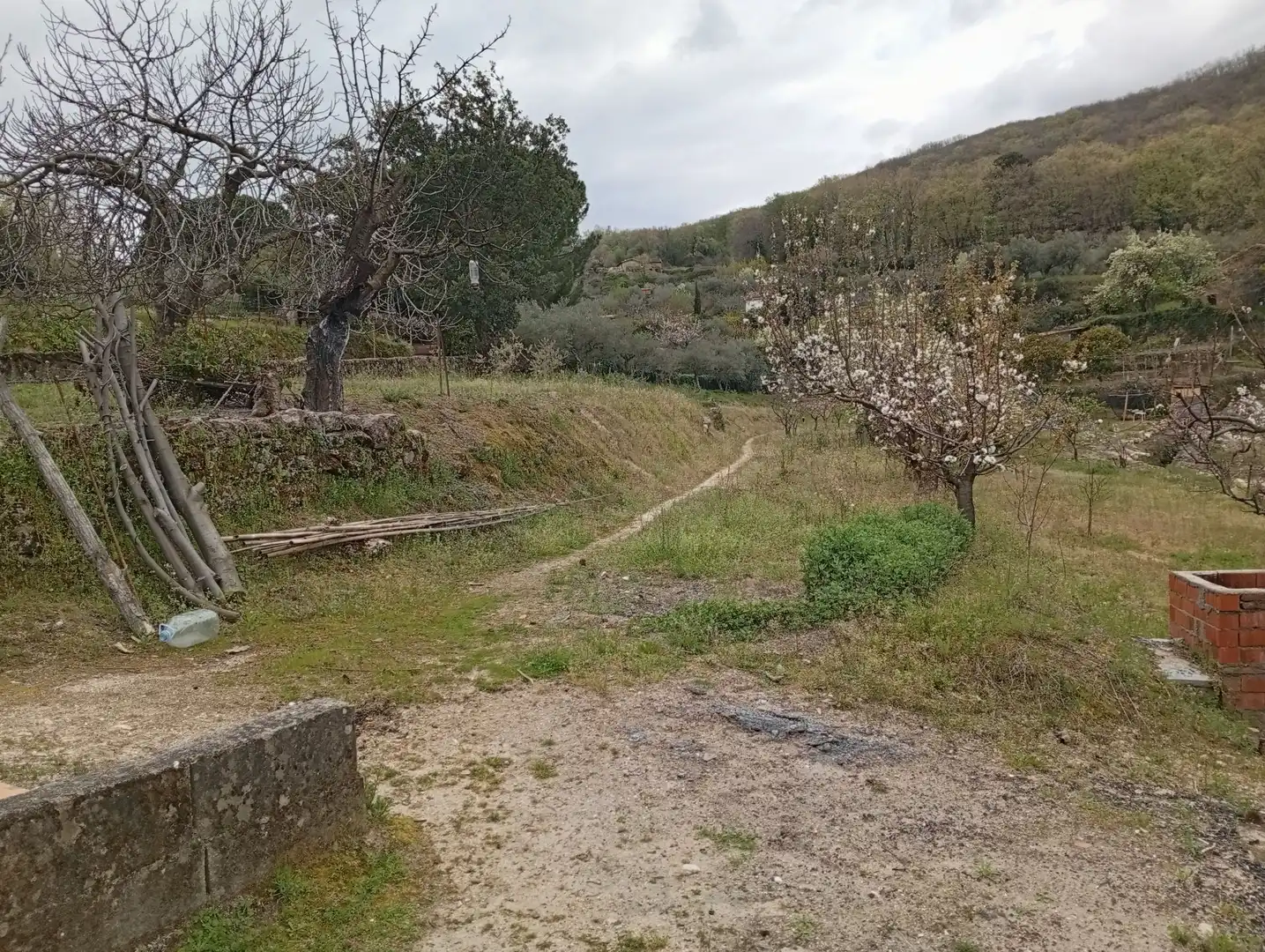 Terreni e lotti in vendita a Villanueva de la Vera, imagen 46