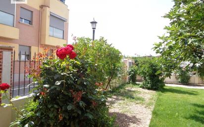 Jardí de Casa o xalet en venda en Santovenia de Pisuerga amb Calefacció i Terrassa