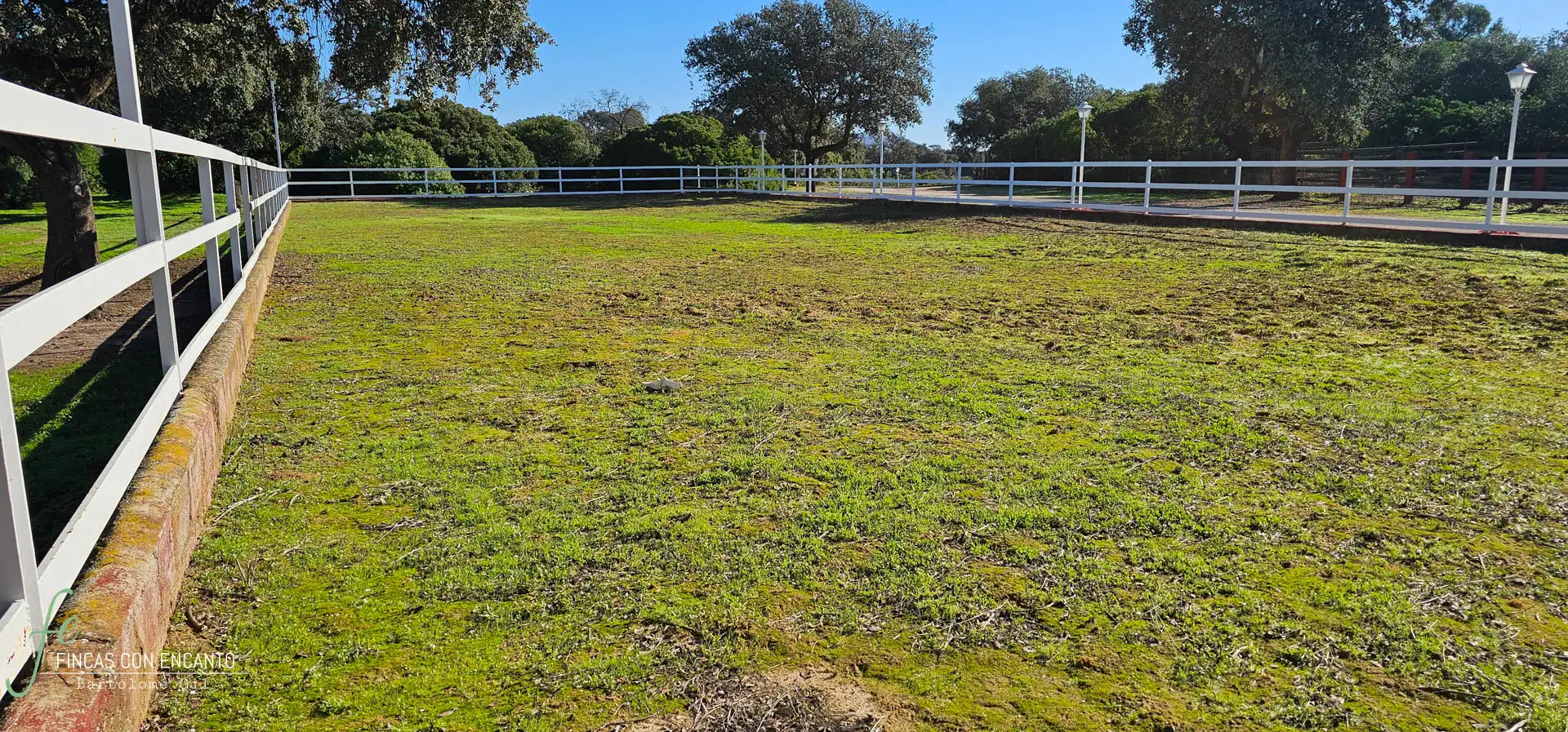Finca rústica en venda en Morón de la Frontera amb Jardí privat, Terrassa i Piscina