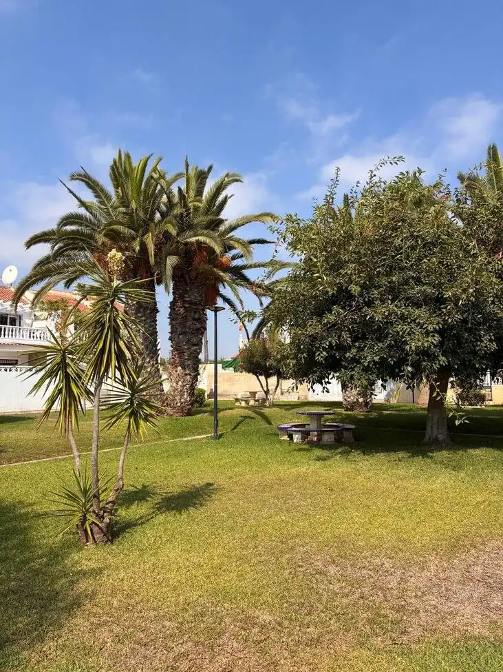Garden of Apartments for sale in Orihuela Costa