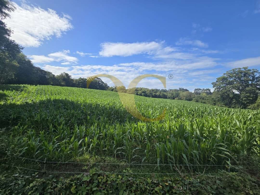 Residencial en venda en Llanes