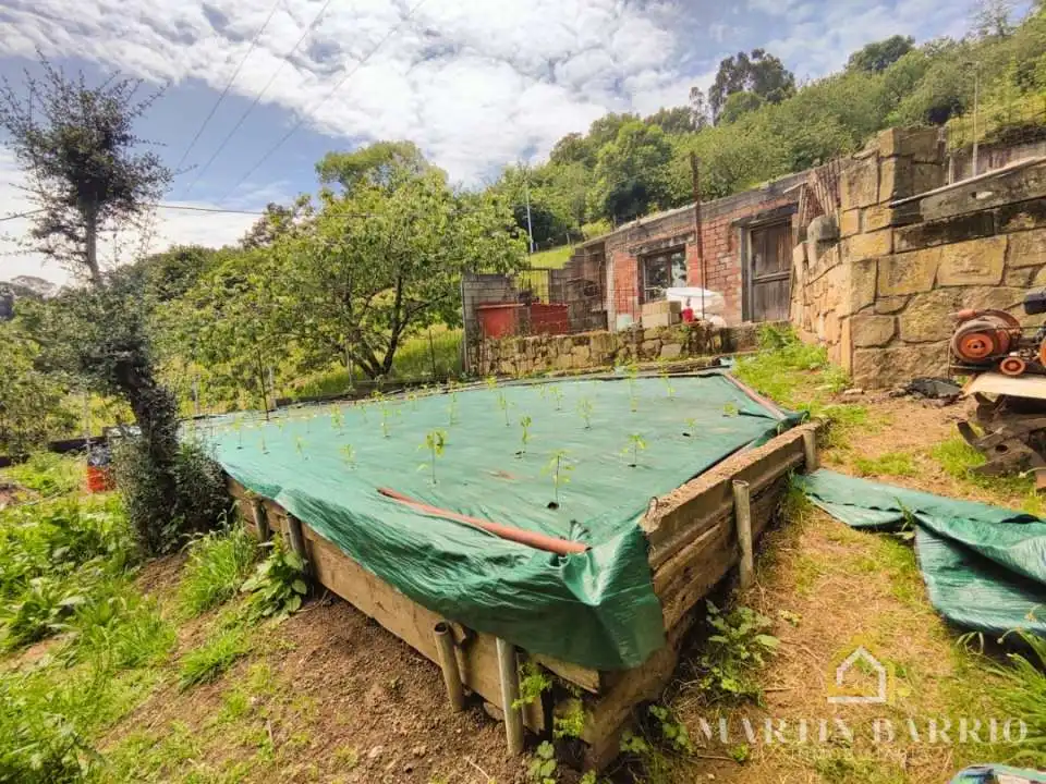 Garden of Land for sale in Muskiz