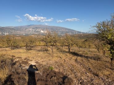 Terreno rustico in vendita a Camino de la Sierra