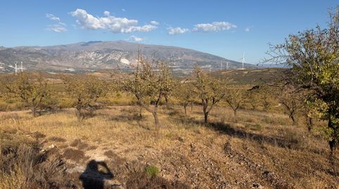 Finca de almendros en Padul