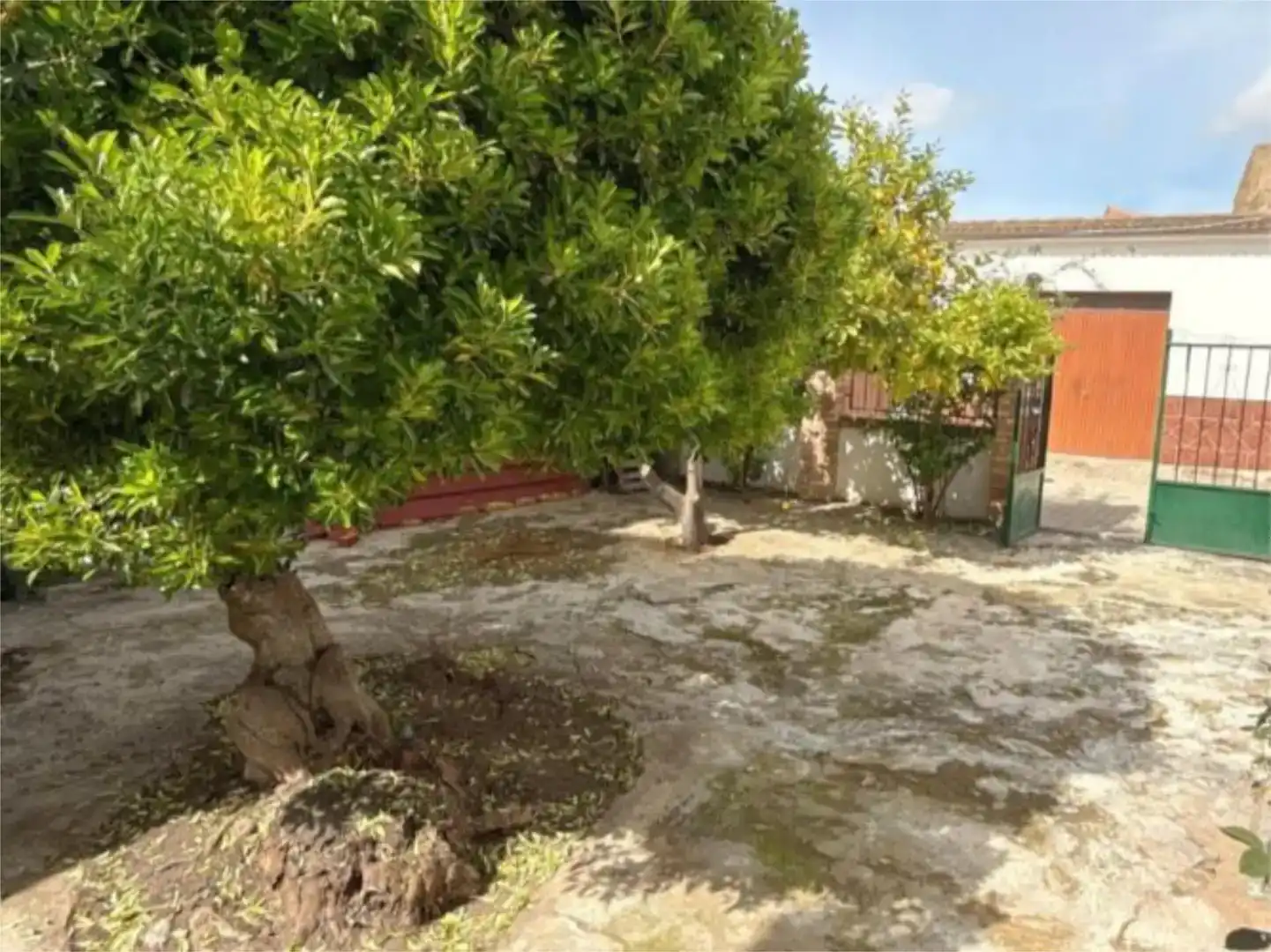 Jardí de Pis en venda en Mollina