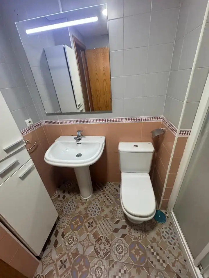 Ground floor with pool to rent in Casco Antiguo, imagen 29