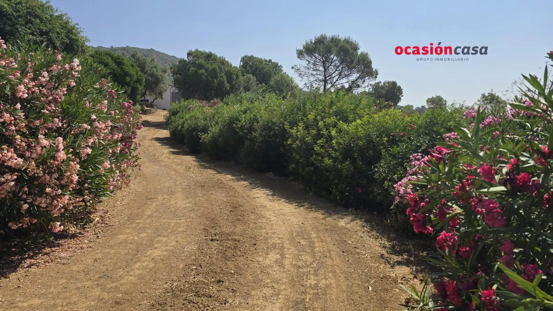 Finca rústica en venta en Pozoblanco