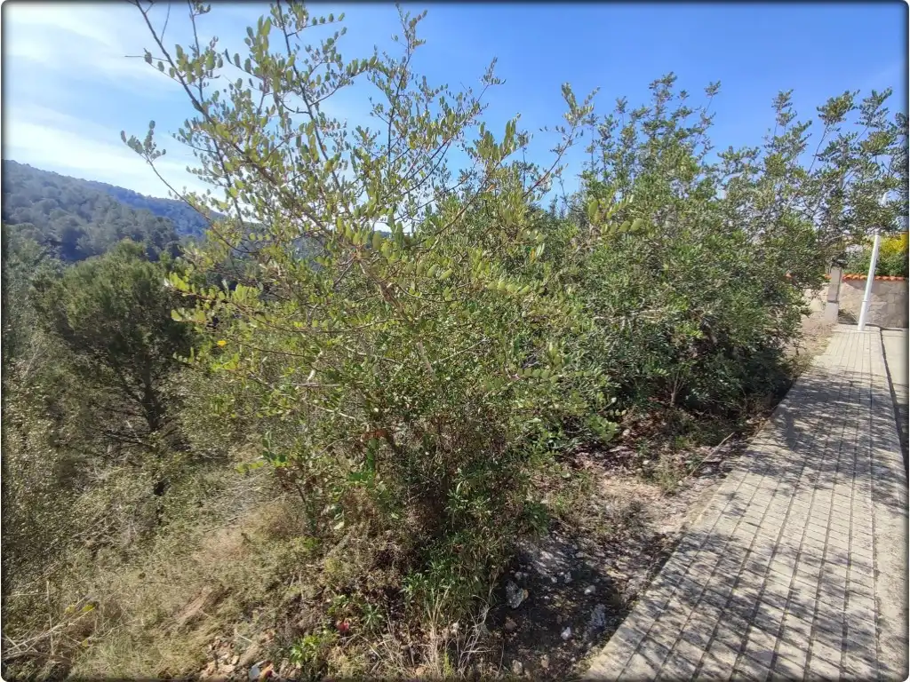 Residential for sale in La Font d'en Carròs