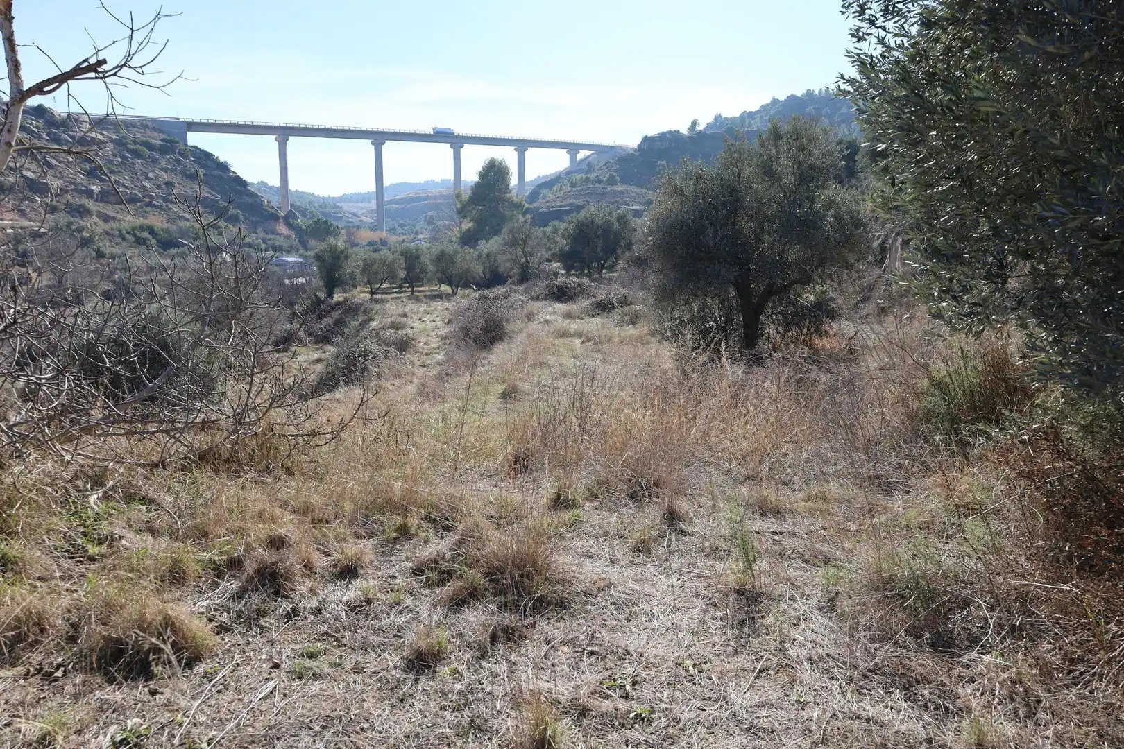 Terreni e lotti in vendita a Camino Polígono 763 Parcela 6204 VUEL MAJ. ALCAÑIZ (TER, imagen 2