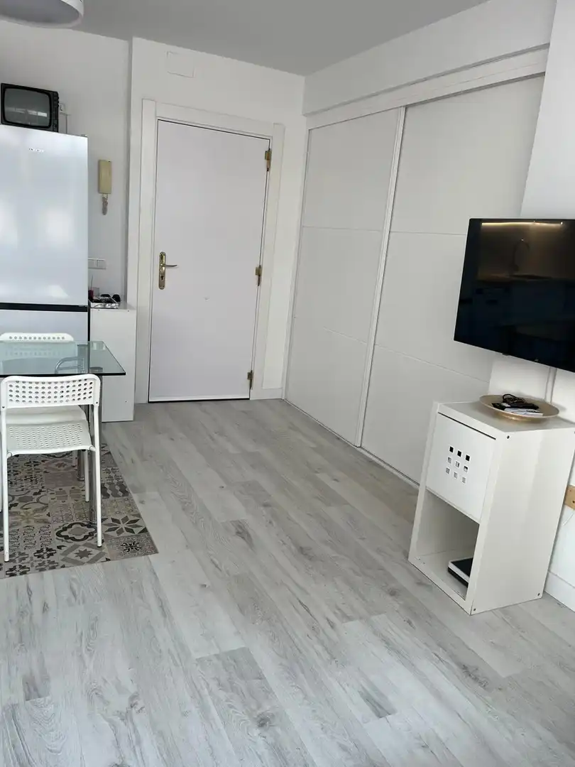 Mini appartamento in affitto a Calle RIO ARANDA, imagen 10