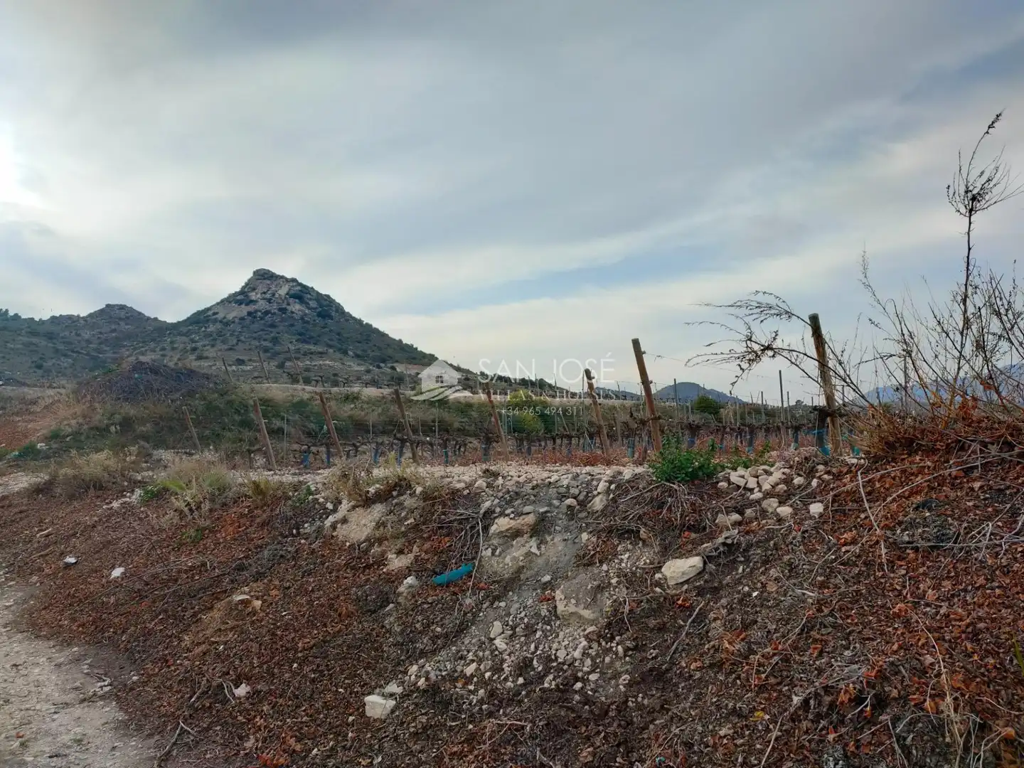 Terreno residenziale in vendita a Pedanías Oeste, imagen 19