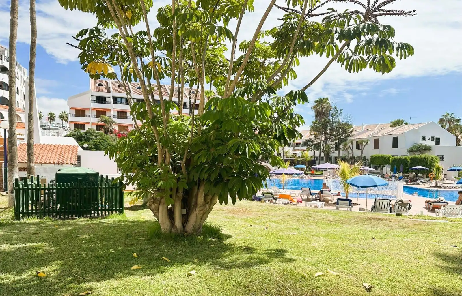 Jardí de Àtic en venda en Arona amb Aire condicionat, Jardí privat i Terrassa