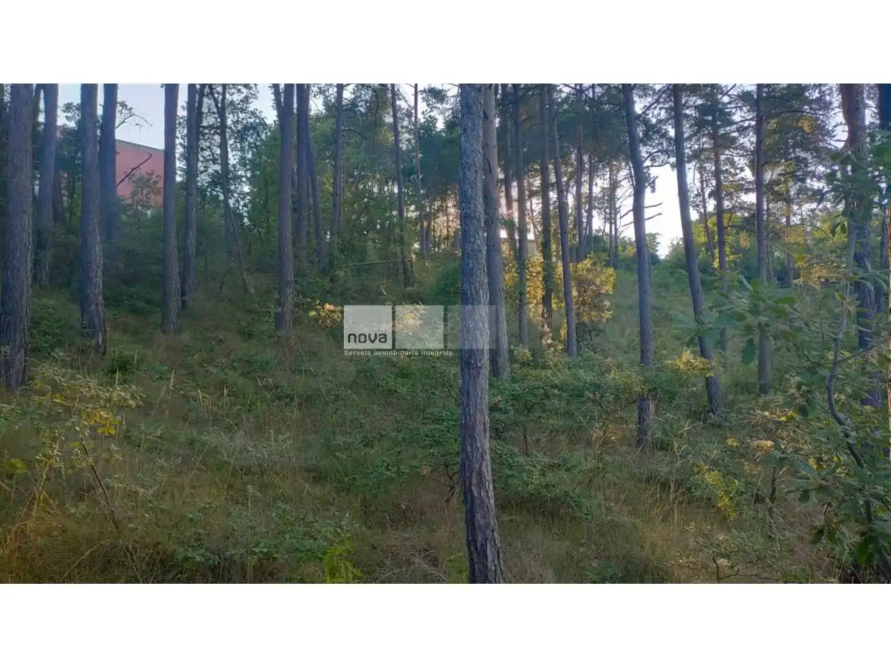 Wohnbaugrundstück zum Verkauf in Muntanyola, imagen 23