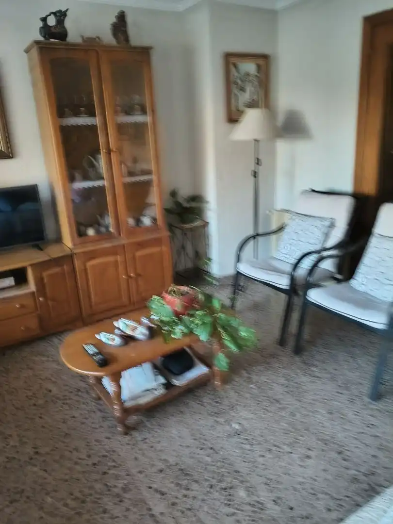 Sala d'estar de Pis de lloguer en Alicante / Alacant amb Aire condicionat, Calefacció i Terrassa