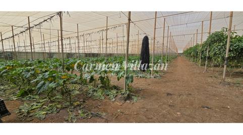 Photo 3 of Land for sale in Tesejerague, Tesejerague, Las Palmas