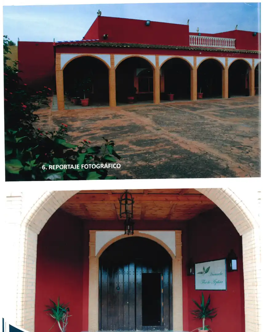 Jardí de Local en venda en Sevilla amb Aire condicionat, Calefacció i Moblat