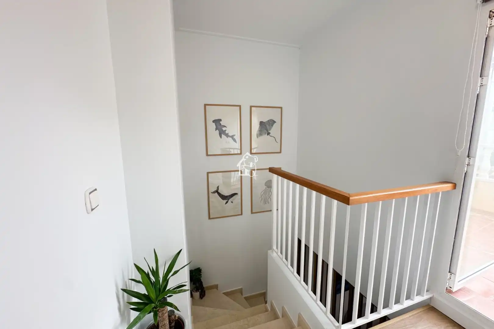 Detached homes for rent in Orihuela  with Air Conditioner, Terrace and Swimming Pool