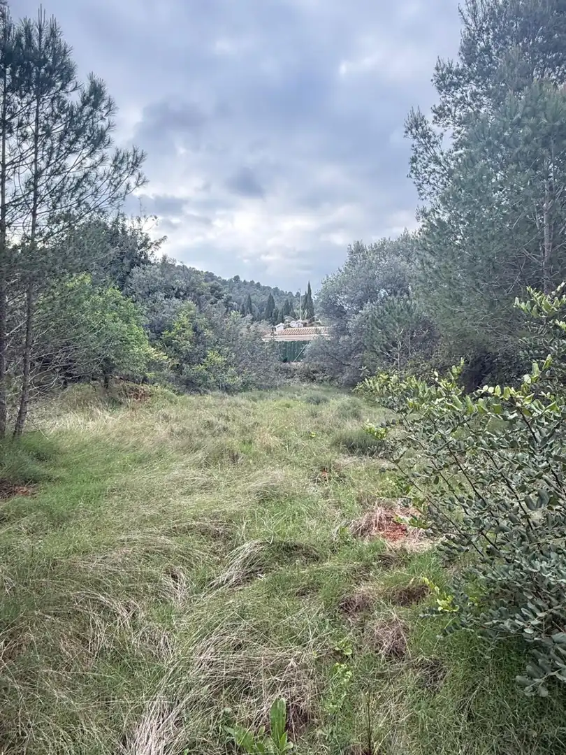Casa rústica en venta en Onda, imagen 5