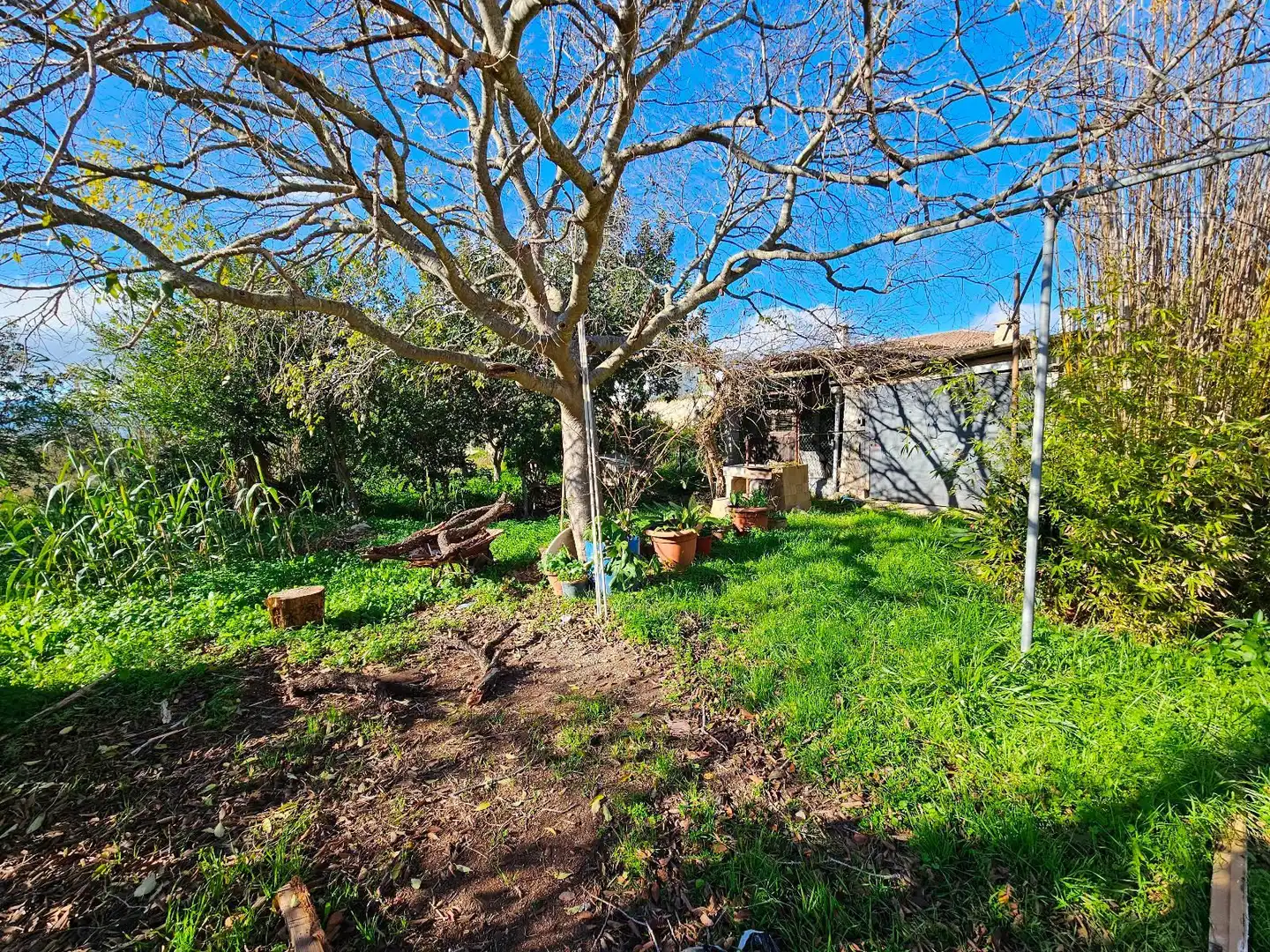 Chalet en venta en Son Amonda - Reis Catòlics, imagen 16