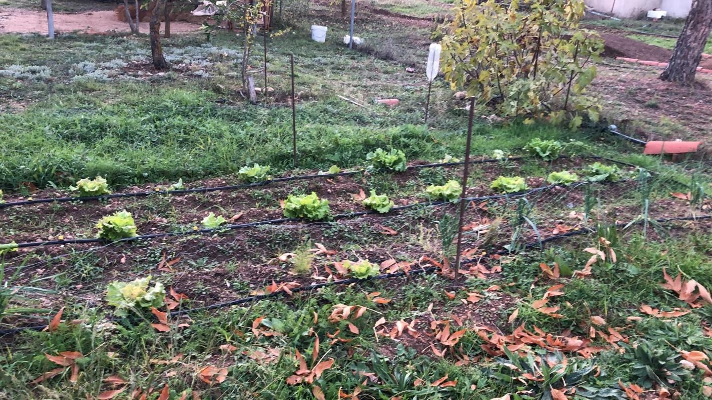 Jardín de Casa o chalet en venta en Villar de Cañas con Calefacción, Jardín privado y Amueblado