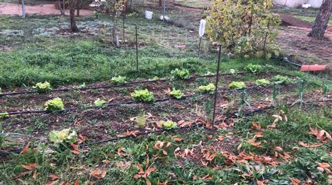 Foto 2 de Casa o chalet en venta en Del Guindo, Villar de Cañas, Cuenca